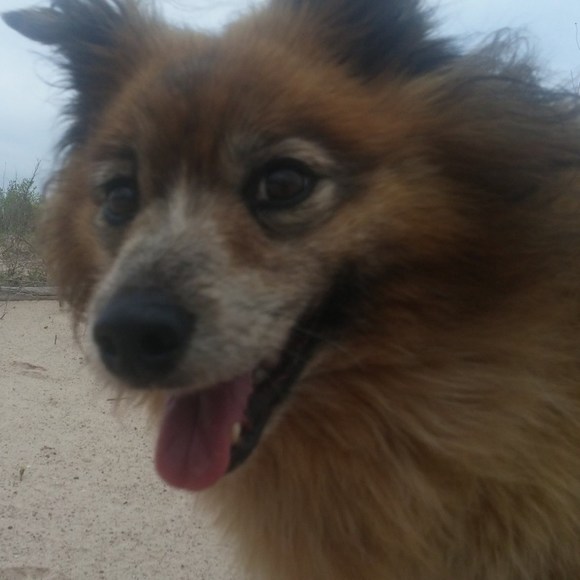 Meet your Posher, India - Picture 1 of 1